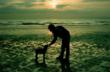New Online Studies Program Offers Expert Help in Dealing with the Loss...